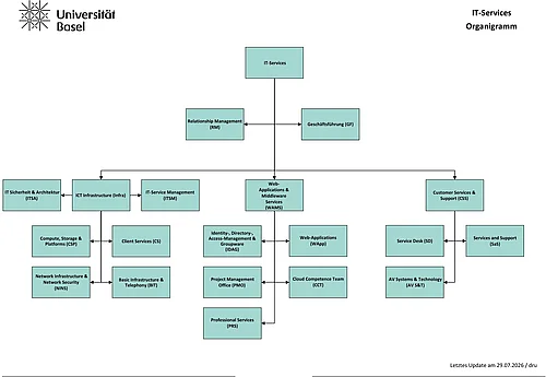 Organigramm